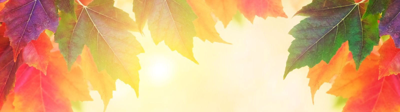Herbstzeit