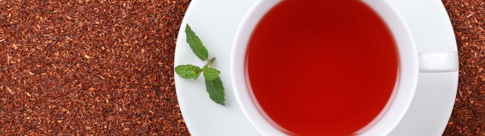 Rotbusch & Honeybusch Tee