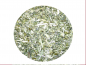 Preview: Schafgarbenkraut Tee | Achillea millefolium