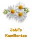Preview: Bio-Kamillenblüten
