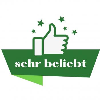 Senf | Grillmeister Senf  100ml