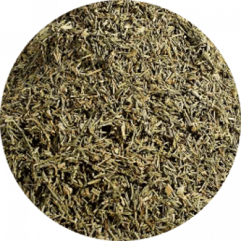 Zinnkraut-Tee