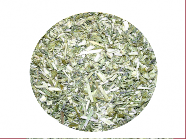 Schafgarbenkraut Tee | Achillea millefolium