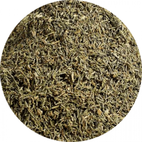 Zinnkraut-Tee