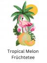 Kita Tee - Tropical Melon | Galiamelone - 50 Portionsbeutel