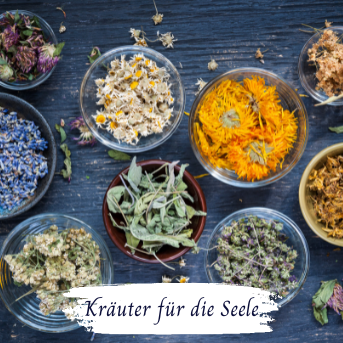 Kräuter für dein Wohlbefinden